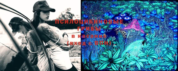 экстази Новозыбков
