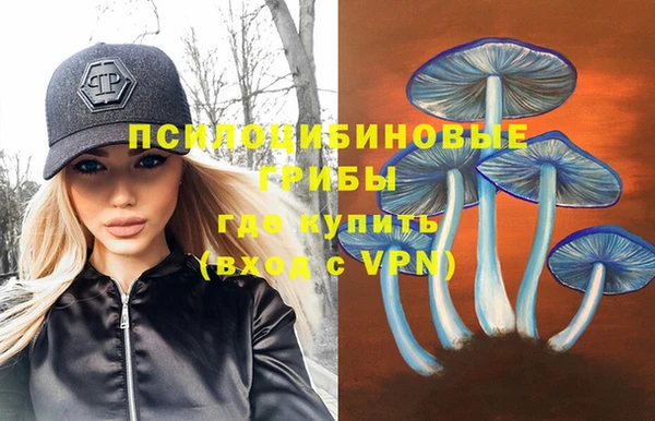 экстази Новозыбков