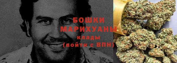 PSILOCYBIN Нязепетровск