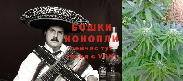 PSILOCYBIN Нязепетровск