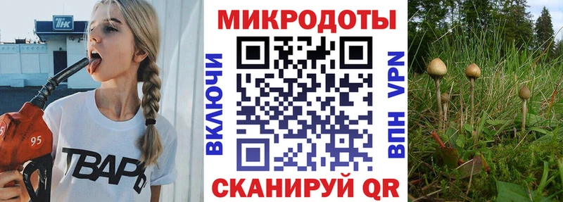 kraken ссылки  Купино  Псилоцибиновые грибы MAGIC MUSHROOMS 